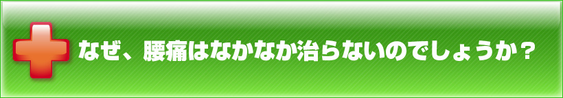 なぜ、腰痛はなかなか治らないのでしょうか？